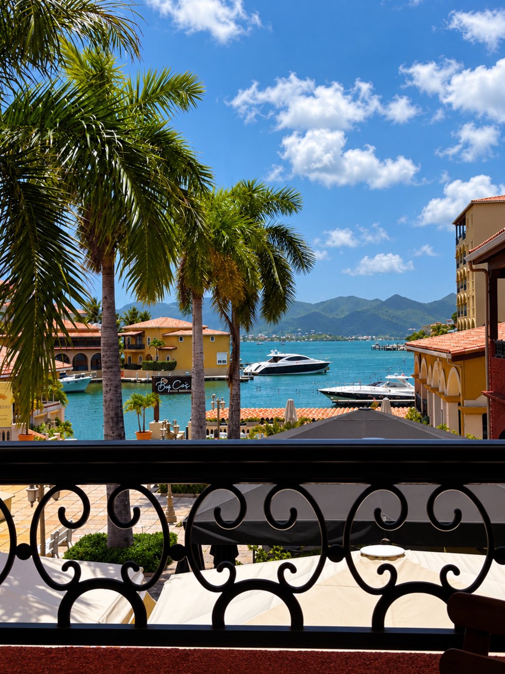 Palm trees framing the blue waters and boats of Porto Cupecoy marina, viewed from the terrace.